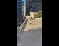 Man jean jacket rap videographer lie down