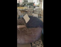 Collab Pets For All - White Puppy Uses Bean Bag Chair to Jump Down From Couch