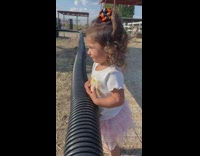 Little girl laughs at tortoises doing intercourse