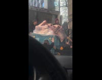 Meat transported out from truck to restaurant