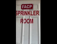 Collab PLC - Dog parties with peanut butter inside room