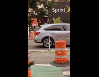 Shirtless guy middle of street tree branch 