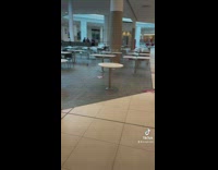 Guy with net trying to catch two birds in food court