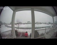 Collab Kale Salad IG - Dog and woman slip fall front door