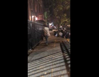 Guy walks carries huge plant at night