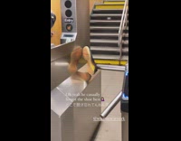 Black and yellow shoe on turnstile bar 