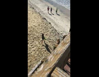 Girl photographs friend while holding leaf blower