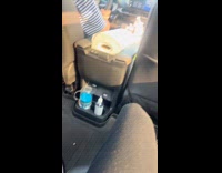 Woman shows cockroach trapped between jar and cup