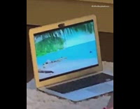 Collab KaleSaladIG - Woman pink bikini laptop beach