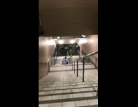 Two guys sled down train station stairs