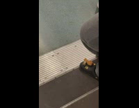 Person in Crocs with Decorative Charms Does Cross Leg