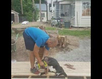 Owner drills around black and white dog 