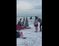 Lady has christmas photoshoot with dogs beach 