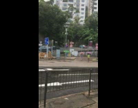 Wrong sunny weather forecast phone rainy street