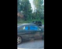 Car transport huge trash bin inside car