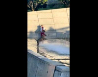 Collab Clips mpugc - Dog playing with water fountain