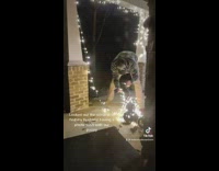 Guy wraps dog in christmas lights and takes picture of it.