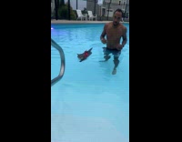 Cat wearing life vest swimming on pool