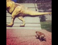 Dog barks at trex statue at museum