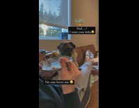 Dog sits on dads lap begging for food