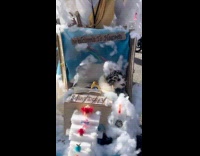 Dog bark saint doggy heaven costume parade