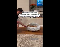 Dog gets nigh snack deliver at bed