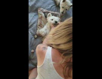 Girl rubs ointment on white dog nose 