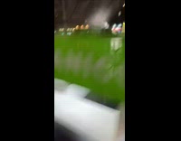 Cat white couch inside of furniture store