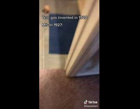 Collab BitchIG2 - Guy throws onion into bathroom tear gas 