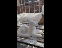 Kitten stares at cat sculpture 
