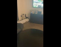 Kitten cat jumps over white toy tunnel 