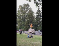 Girl orange butterfly wings costume rock park 