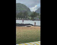 Guy in floral stands on beach rocks for photos 
