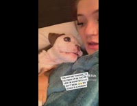 Dog talks back to mom waves paw 