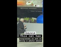 woman cat glasses pictures