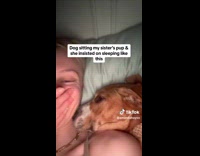 Collab Clips MPUGC2 - Brown dog wants to cuddle woman while sleeping 