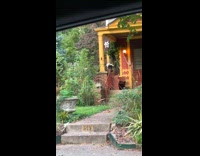 Cat sits on empty plant pot
