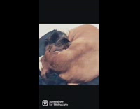 Cat calms down dog while it sleeps 