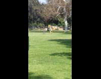 Guy sit shopping cart park yellow dress