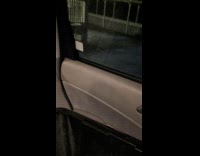 Woman scare away moose eat apples from trunk