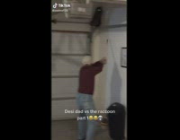 Desi dad tries to get rid of raccoon 