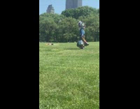 Blue jacket white bag feather hat park 