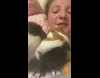 Two guinea pigs eat cilantro on woman