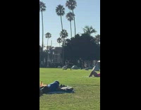 Girl spin hype dance park grass sunny