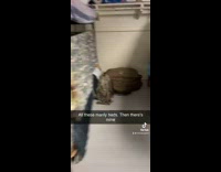 Army solider does not have manly bed