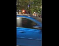 Guy hangs on tree plays flute instrument