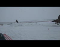 guy in black skiing falls down and faceplants 