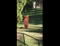 Guy blue sleeves takes photo brown shelf 