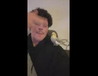 Guy singing song with grey yellow bird 