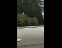 Doll heads on passenger window van